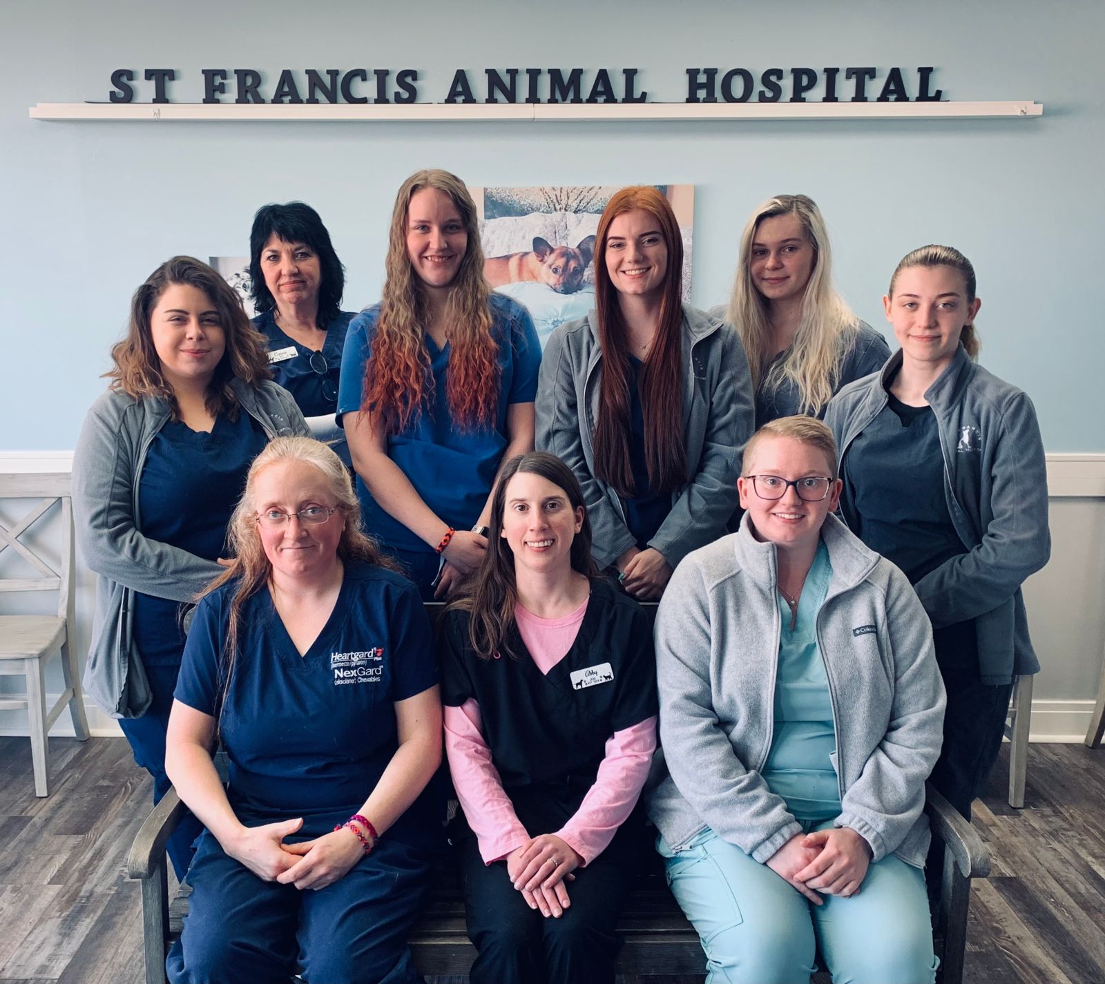 st francis animal hospital irwin pa Strains zine Diaporama